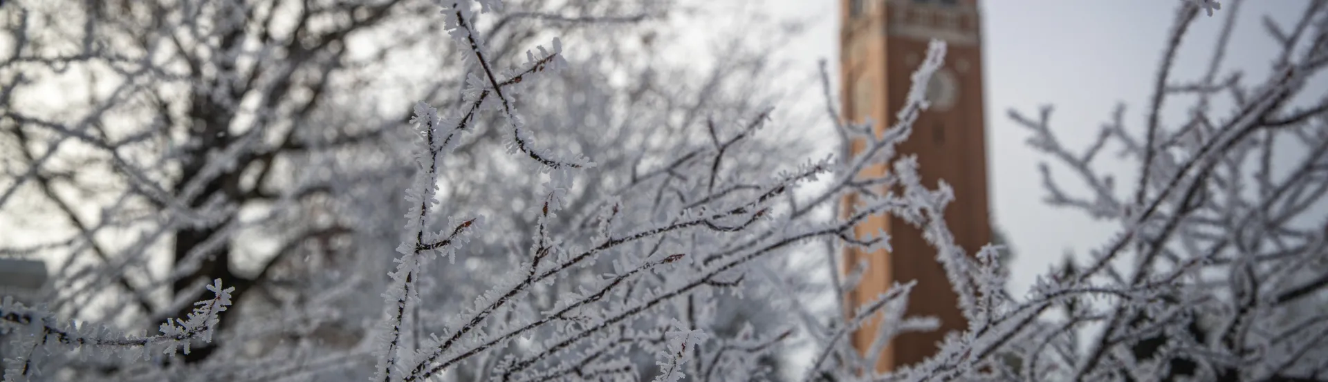 UNI campus in the snow